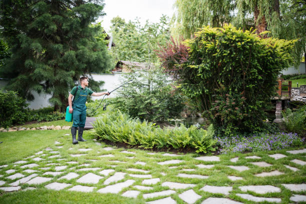 Brookville, PA Tree Services Company